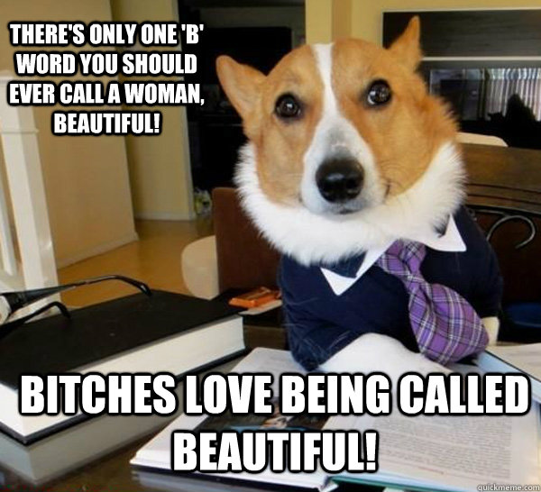 There's only one 'B' word you should ever call a woman, beautiful! Bitches love being called beautiful!  Lawyer Dog