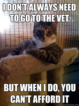 i don't always need to go to the vet but when i do, you can't afford it  