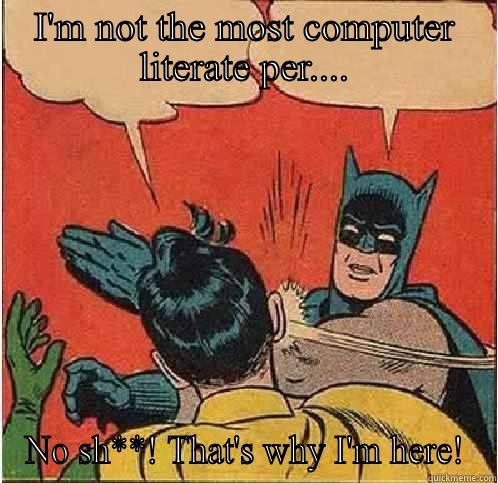 I'M NOT THE MOST COMPUTER LITERATE PER.... NO SH**! THAT'S WHY I'M HERE! Batman Slapping Robin