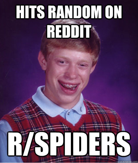 Hits random on reddit r/spiders  Bad Luck Brian