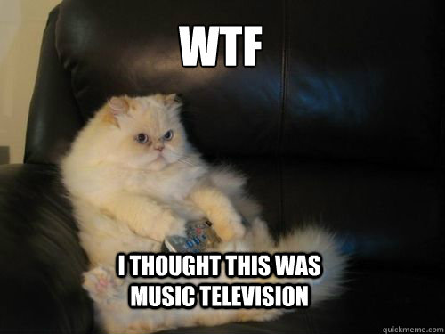 WTF I thought this was Music Television  Disapproving TV Cat