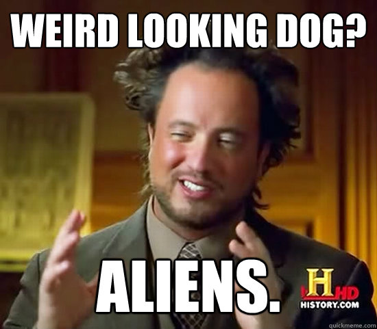 Weird looking dog? ALIENS. - Weird looking dog? ALIENS.  Ancient Aliens