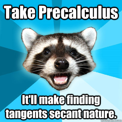 Take Precalculus It'll make finding tangents secant nature.  Lame Pun Coon