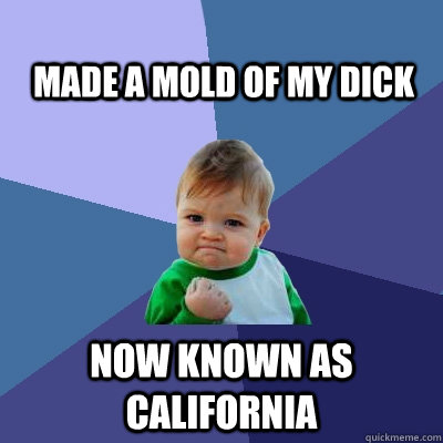 MADE A MOLD OF MY DICK NOW KNOWN AS CALIFORNIA  Success Kid