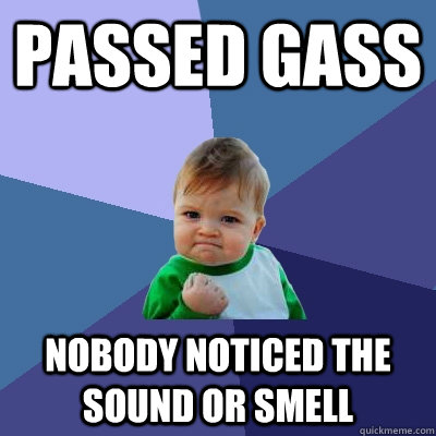 Passed Gass Nobody noticed the sound or smell  Success Kid