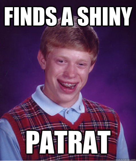 Finds a shiny Patrat  Bad Luck Brian