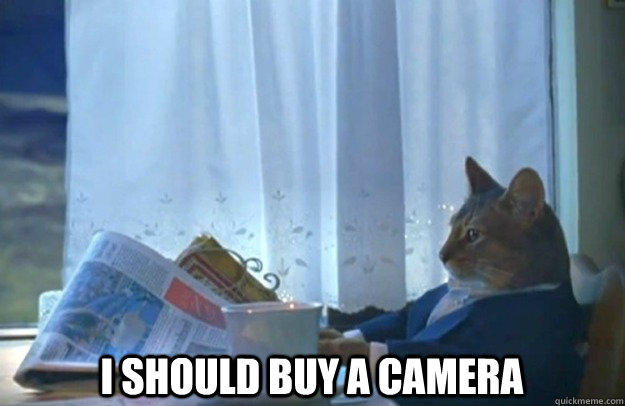  I should buy a camera  Sophisticated Cat