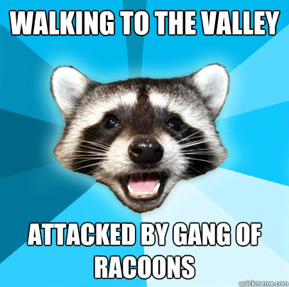 WALKING TO THE VALLEY
 ATTACKED BY GANG OF RACOONS
  Lame Pun Coon