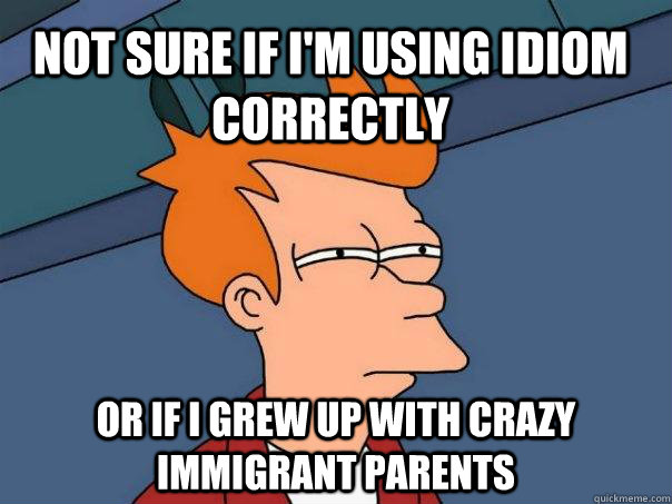 Not sure if I'm using idiom correctly Or if I grew up with crazy immigrant parents  Futurama Fry