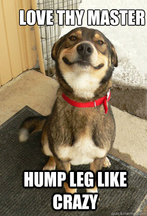 LOVE THY MASTER HUMP LEG LIKE CRAZY  Good Dog Greg