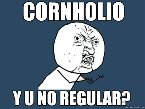 cornholio y u no regular?  Y U No