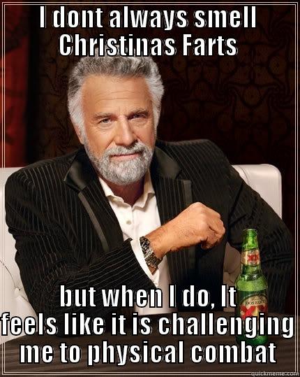 I DONT ALWAYS SMELL CHRISTINAS FARTS BUT WHEN I DO, IT FEELS LIKE IT IS CHALLENGING ME TO PHYSICAL COMBAT The Most Interesting Man In The World