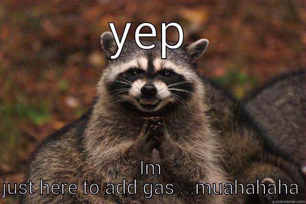 Fire starter - YEP IM JUST HERE TO ADD GAS ...MUAHAHAHA Evil Plotting Raccoon