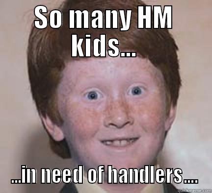SO MANY HM KIDS... ...IN NEED OF HANDLERS.... Over Confident Ginger