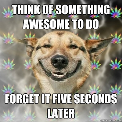 Think of Something awesome to do forget it five seconds later  Stoner Dog