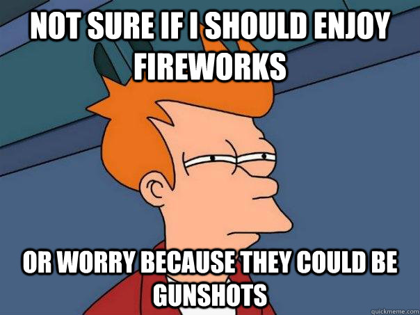 Not sure if i should enjoy fireworks Or worry because they could be gunshots - Not sure if i should enjoy fireworks Or worry because they could be gunshots  Futurama Fry