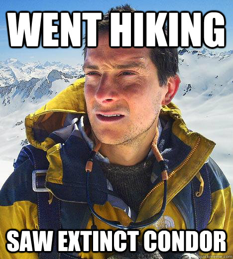 went hiking saw extinct condor  Bear Grylls