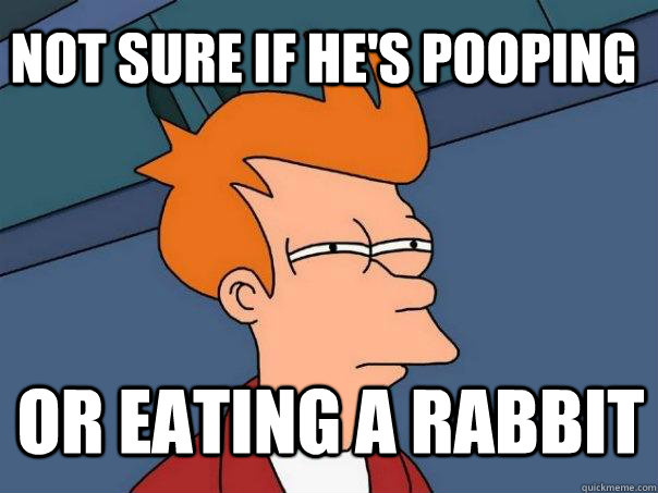 Not sure if he's pooping or eating a rabbit - Not sure if he's pooping or eating a rabbit  Futurama Fry