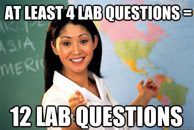 at least 4 lab questions =  12 lab questions  Unhelpful High School Teacher