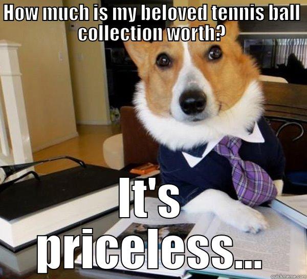 HOW MUCH IS MY BELOVED TENNIS BALL COLLECTION WORTH? IT'S PRICELESS... Lawyer Dog