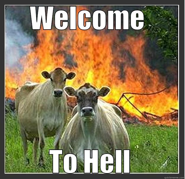 Welcome to Hell - WELCOME  TO HELL Evil cows