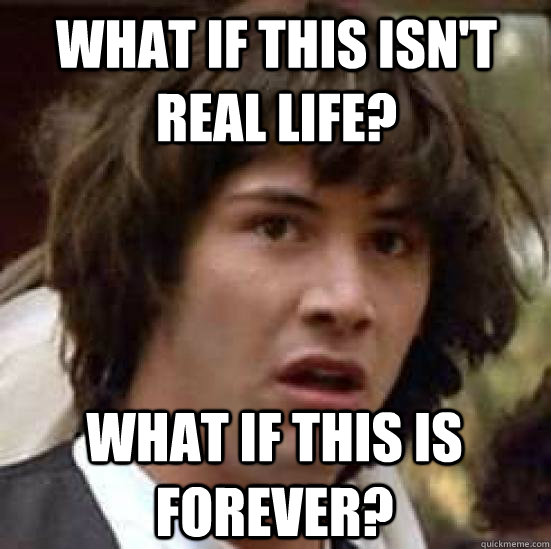 What if this isn't real life? What if this is forever?  conspiracy keanu