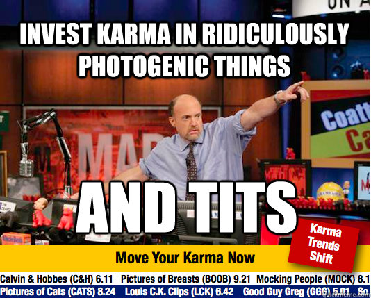 Invest Karma in Ridiculously photogenic things and tits
  Mad Karma with Jim Cramer