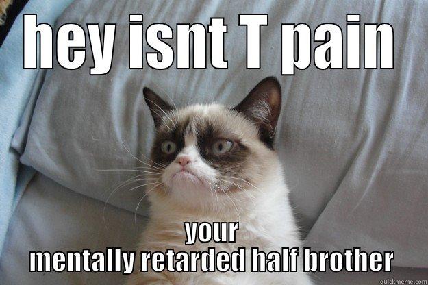 HEY ISNT T PAIN YOUR MENTALLY RETARDED HALF BROTHER Grumpy Cat