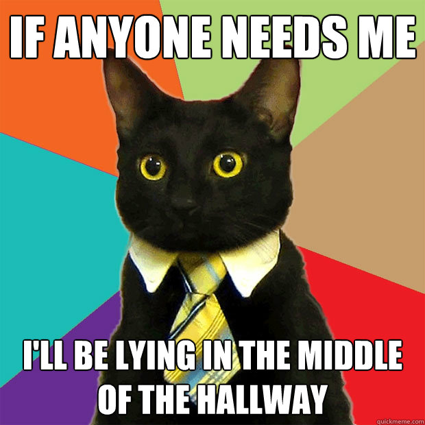 If anyone needs me I'll be lying in the middle of the hallway  Business Cat