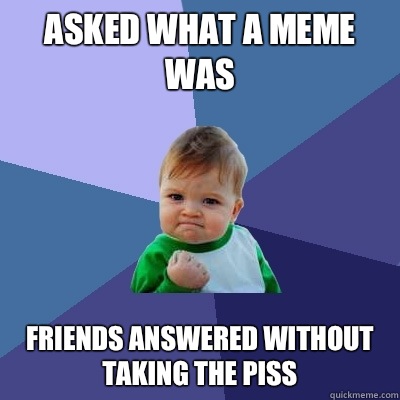 Asked what a meme was Friends answered without taking the piss  Success Kid