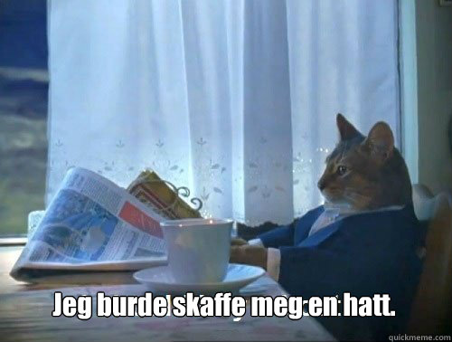 Jeg burde skaffe meg en hatt.  Fancy Cat