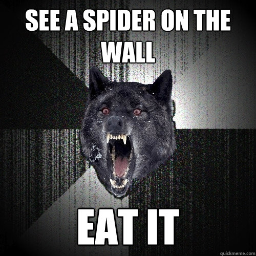 See a spider on the wall Eat it  Insanity Wolf