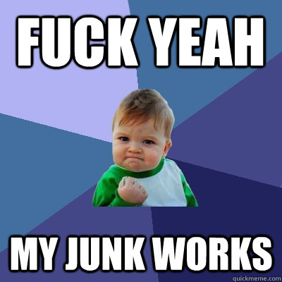 fuck yeah my junk works  Success Kid