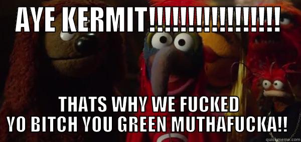 AYE KERMIT!!!!!!!!!!!!!!!!! THATS WHY WE FUCKED YO BITCH YOU GREEN MUTHAFUCKA!!  Misc