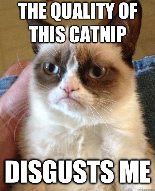 The quality of this catnip Disgusts me  Grumpy Cat