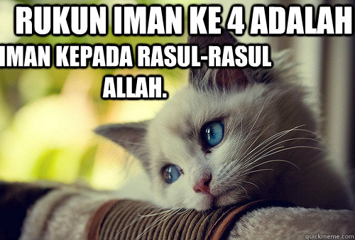 Rukun Iman ke 4 adalah Iman kepada rasul-rasul Allah.  First World Problems Cat