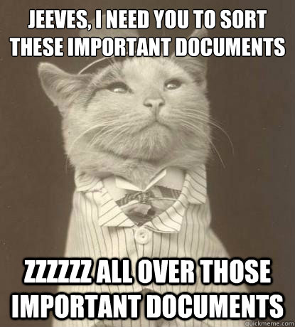 jeeves, i need you to sort these important documents out zzzzzz all over those important documents  Aristocat