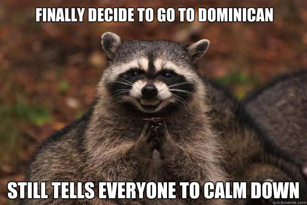 finally decide to go to dominican  still tells everyone to calm down  - finally decide to go to dominican  still tells everyone to calm down   Evil Plotting Raccoon