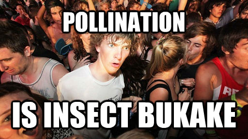 Pollination Is Insect Bukake Sudden Clarity Clarence Quickmeme 0155