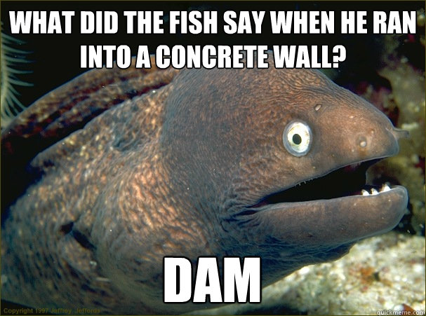 What did the fish say when he ran into a concrete wall? DAM  Bad Joke Eel