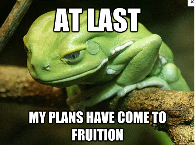 At Last My Plans Have come to Fruition - At Last My Plans Have come to Fruition  Mastermind Frog