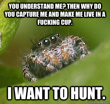 You understand me? Then why do you capture me and make me live in a FUCKING CUP.  I WANT TO HUNT.  Misunderstood Spider