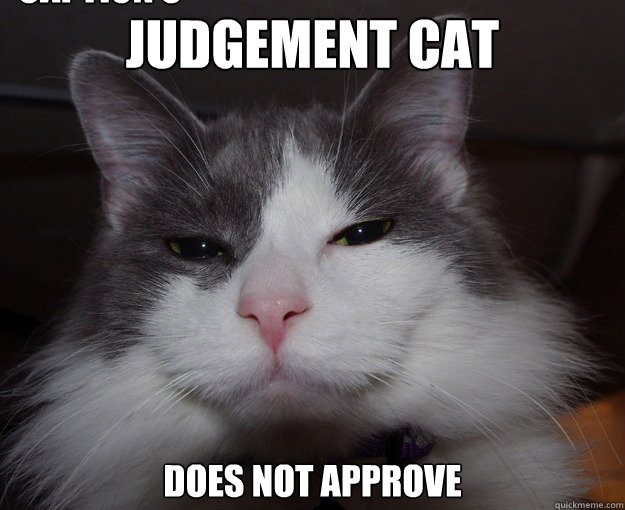 Judgement Cat Does Not Approve Caption 3 goes here - Judgement Cat Does Not Approve Caption 3 goes here  Misc