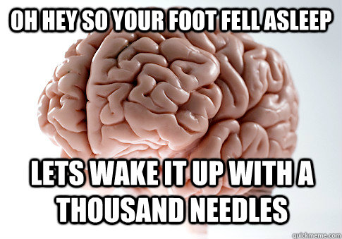 Oh hey so your foot fell asleep lets wake it up with a thousand needles - Oh hey so your foot fell asleep lets wake it up with a thousand needles  Scumbag Brain