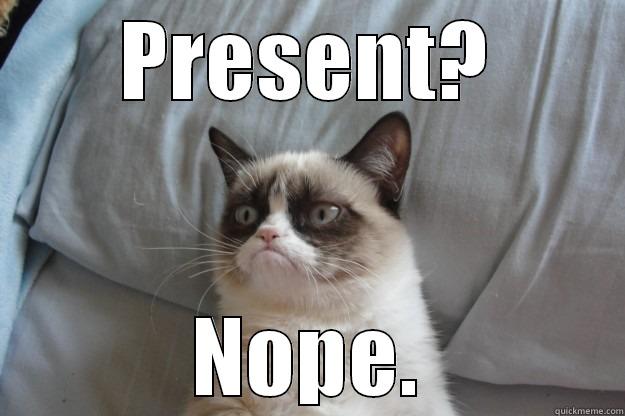 PRESENT? NOPE. Grumpy Cat