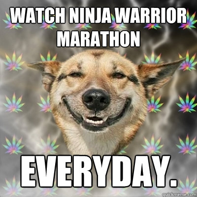 watch ninja warrior marathon everyday. - watch ninja warrior marathon everyday.  Stoner Dog