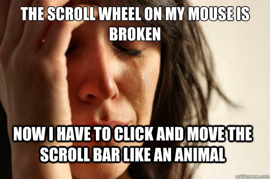 The scroll wheel on my mouse is broken Now i have to click and move the scroll bar like an animal - The scroll wheel on my mouse is broken Now i have to click and move the scroll bar like an animal  FirstWorldProblems