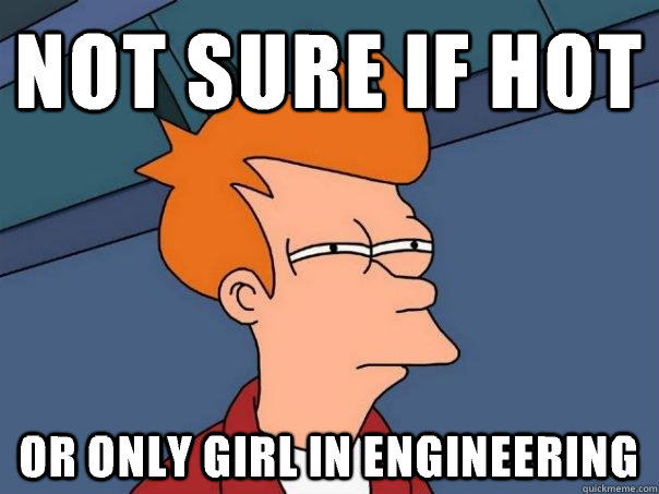 Not sure if hot  Or only girl in engineering  Futurama Fry