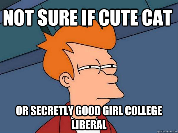 Not sure if Cute Cat Or secretly Good girl college liberal  Caption 3 goes here  Futurama Fry