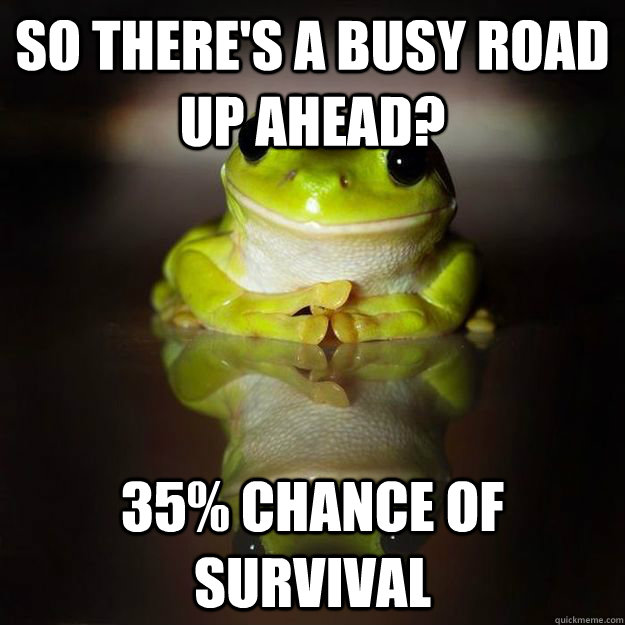 So there's a busy road up ahead? 35% chance of survival  Fascinated Frog